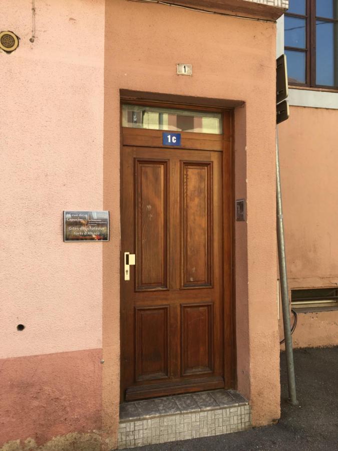 Le Gite 6 - Le Chateau Du Haut-Koenigsbourg Sélestat Εξωτερικό φωτογραφία